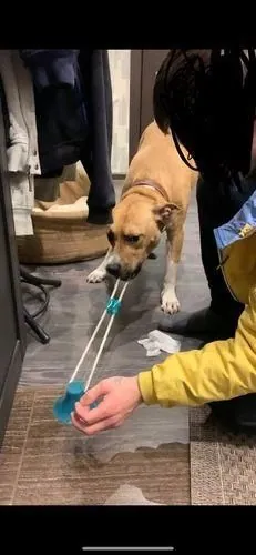 Imagem da Avaliação