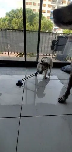 Imagem da Avaliação