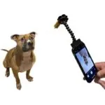 Acessório Flexível para Selfies com Pets - Imagem 2