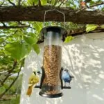 Comedouro para Pássaros Automático para Jardim - Imagem 8