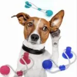 Brinquedo Mordedor Interativo com Ventosa para Cães - Imagem 6