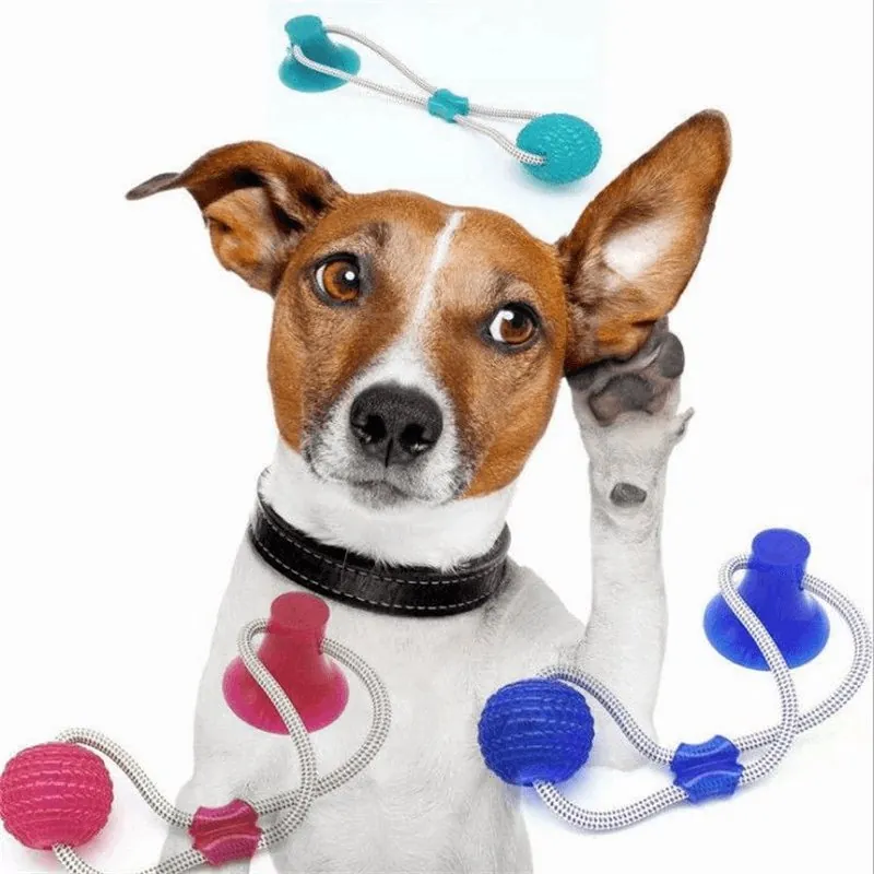 Brinquedo Mordedor Interativo com Ventosa para Cães - Imagem 6