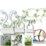 Gancho Autoadesivo para Plantas Trepadeiras com 40 Unidades - Imagem 6