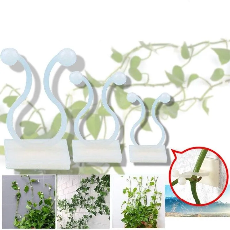 Gancho Autoadesivo para Plantas Trepadeiras com 40 Unidades - Imagem 6