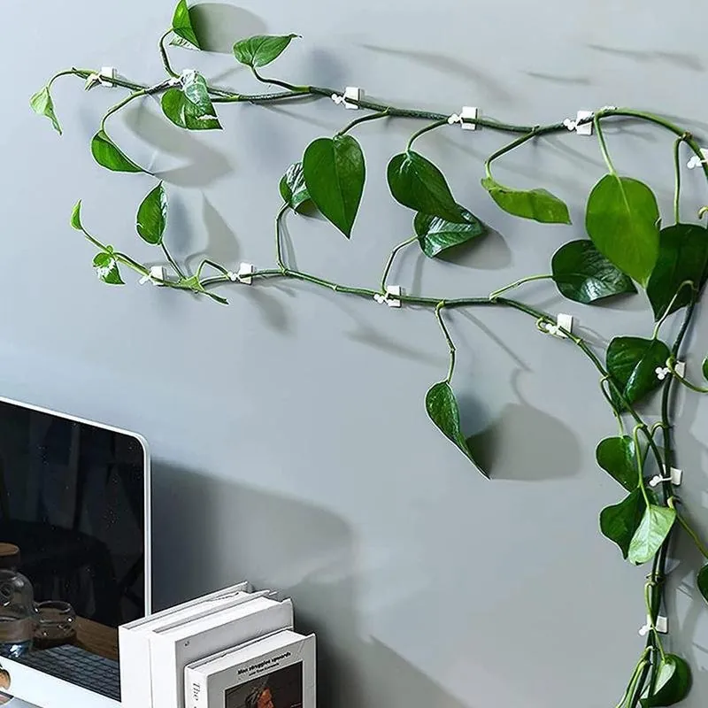 Gancho Autoadesivo para Plantas Trepadeiras com 40 Unidades - Imagem 5