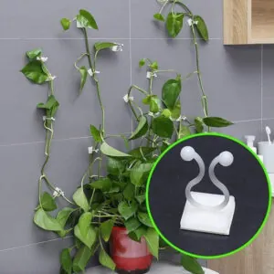 Gancho Autoadesivo Para Plantas Trepadeiras Com 40 Unidades