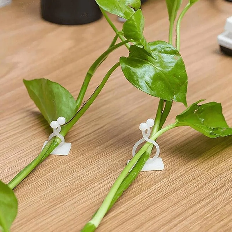 Gancho Autoadesivo para Plantas Trepadeiras com 40 Unidades - Imagem 4