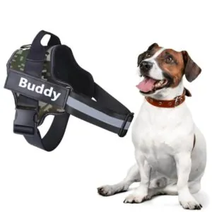 Coleira Peitoral Personalizado Com Nome Para Cachorro