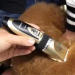 Máquina de Tosa Profissional Pet Bivolt Silenciosa - Imagem 3