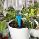 Kit de Irrigação Automática com Gotejadores para Vasos - Imagem 4