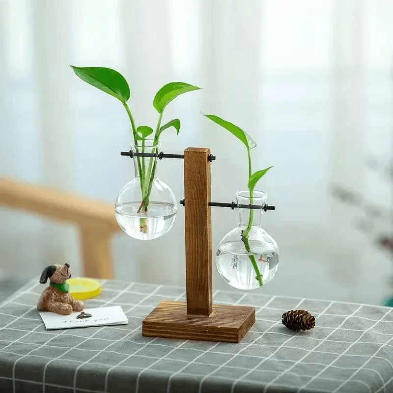 Terrário de Vidro para Plantas Hidropônicas de Mesa - Imagem 5