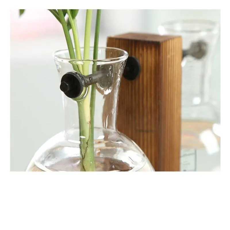 Terrário de Vidro para Plantas Hidropônicas de Mesa - Imagem 6
