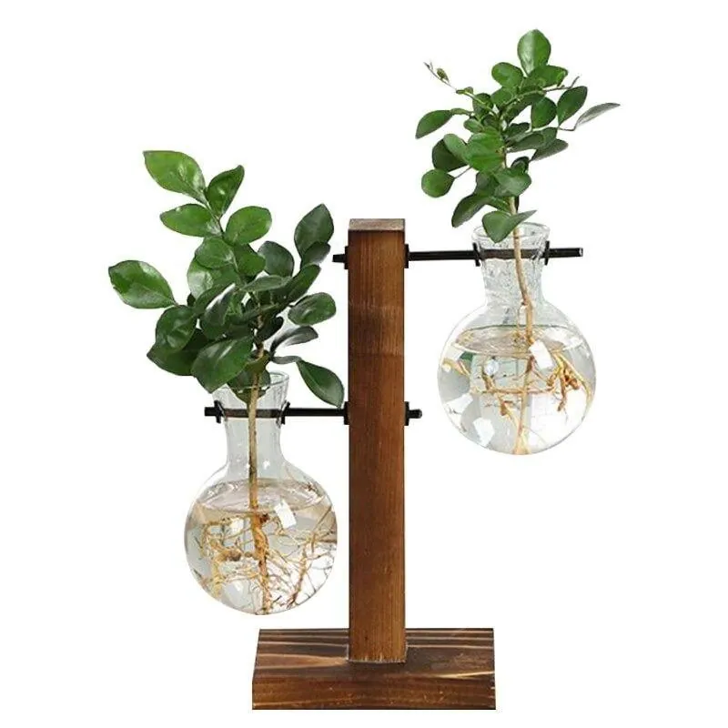 Terrário de Vidro para Plantas Hidropônicas de Mesa - Imagem 3