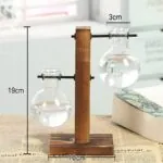 Terrário de Vidro para Plantas Hidropônicas de Mesa - Imagem 2