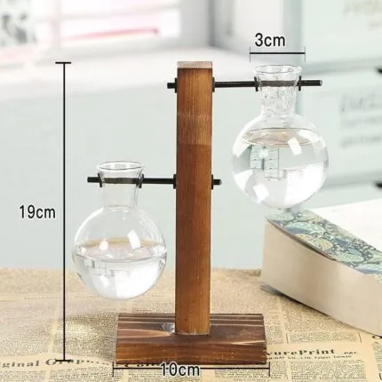 Terrario De Vidro Para Plantas Hidroponicas De Mesa